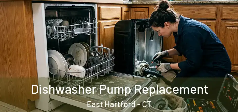 Dishwasher Pump Replacement East Hartford - CT