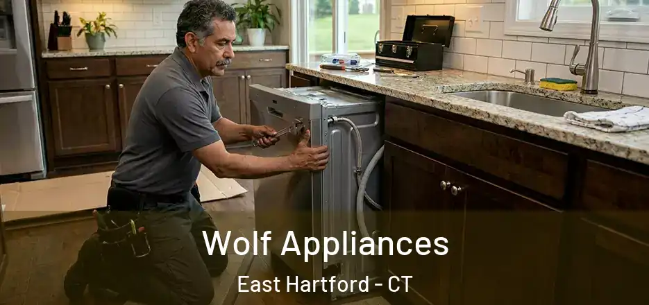  Wolf Appliances East Hartford - CT